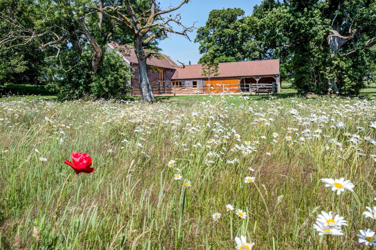 Bed and Breakfast South Park Farm Barn à Andover Extérieur photo