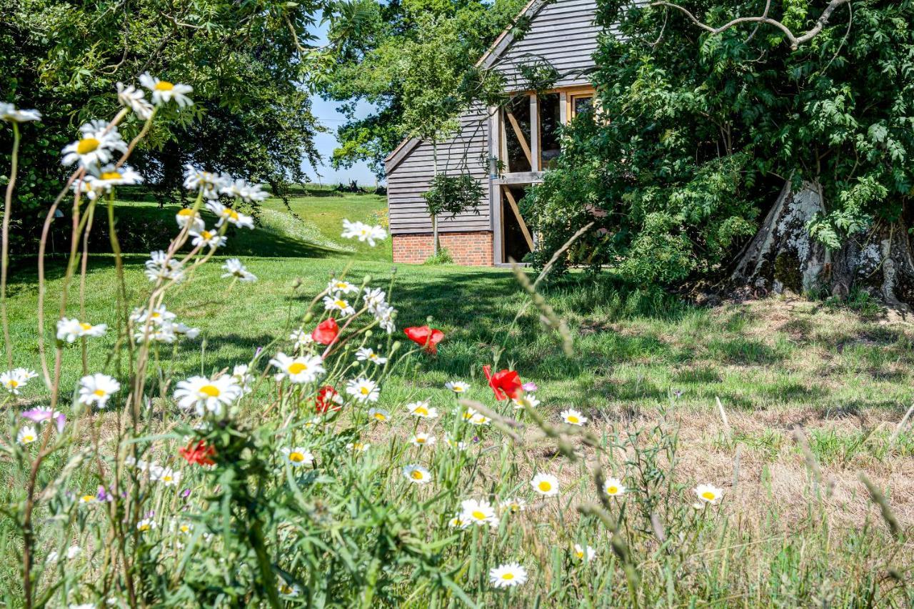 Bed and Breakfast South Park Farm Barn à Andover Extérieur photo